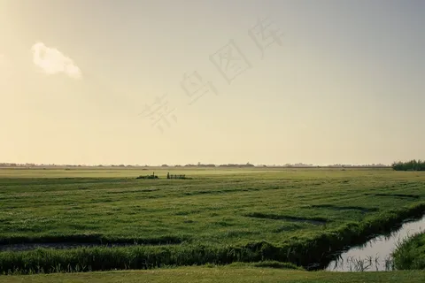 弗里斯兰，景观，农田，荷兰，荷兰