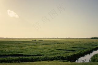 弗里斯兰，景观，农田，荷兰，荷兰