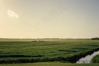 弗里斯兰，景观，农田，荷兰，荷兰