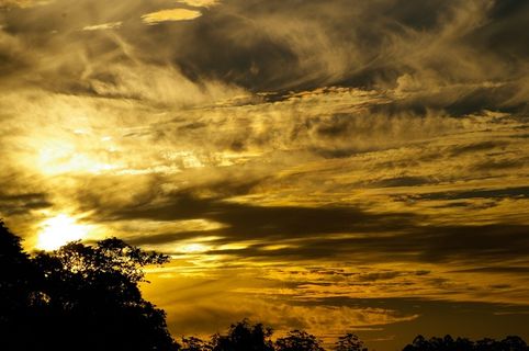 日落，天空，黄色，白色，金色，灰色，云团，地平线