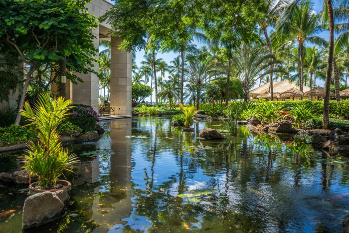 游泳池，度假村，热带，棕榈树，天空，云团，夏天