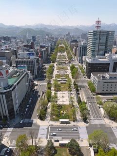 日本，札幌，城市，建筑，建筑物，城市