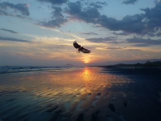 3月，日落，西，海滩，景观，云，自然