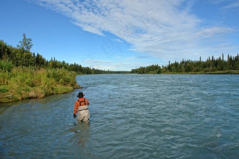 基奈河，阿拉斯加，钓鱼，河，户外