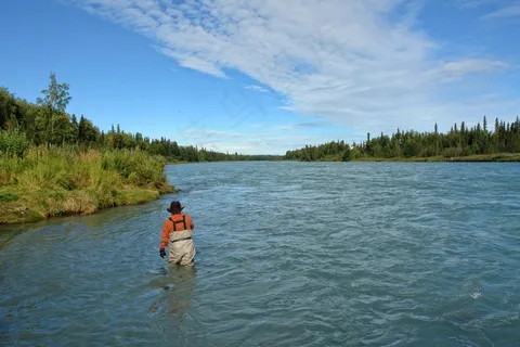 基奈河，阿拉斯加，钓鱼，河，户外