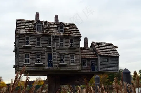 鸟，房子，结构，户外，家，野生动物