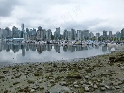 温哥华,城市,不列颠哥伦比亚省,加拿大,水 温哥华,城市,不列颠哥伦比亚省,加拿大,水