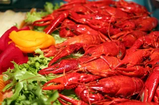 虾，起动机，Scampi，食品，海鲜，美味，吃