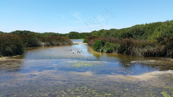 泻湖，湖，自然