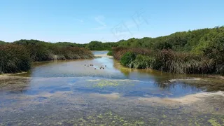 泻湖，湖，自然