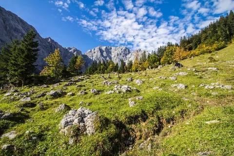 Karwendel,蒂罗尔州,奥地利,山,草地,Steinig Karwendel,蒂罗尔州,奥地利,山,草地,Steinig
