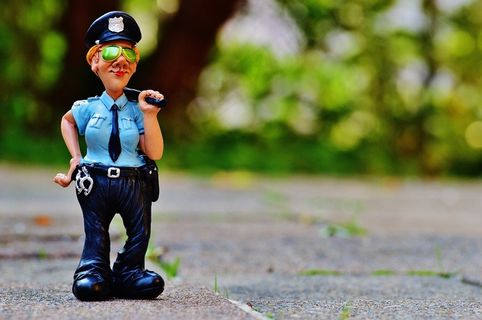 女警察，搞笑，无花果，警察