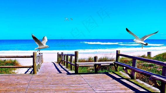 海滩，奥拉，3月，海洋，波，沙，性质，水