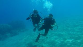 跳水，海，水下，水，蓝色，夏天，海洋