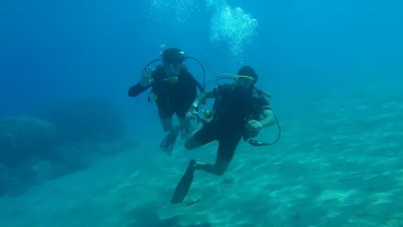 跳水,海,水下,水,蓝色,夏天,海洋 跳水,海,水下,水,蓝色,夏天,海洋