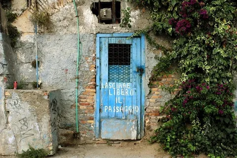 居民楼,民居,树,门,墙,旧门（21/365）