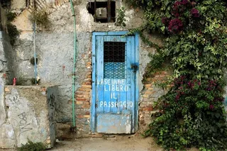 居民楼,民居,树,门,墙,旧门（21/365）