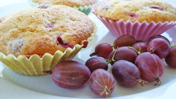 松饼，醋栗，粉红色，烘烤，糕点，烘焙食品