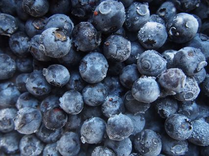 蓝莓，水果，食品，健康