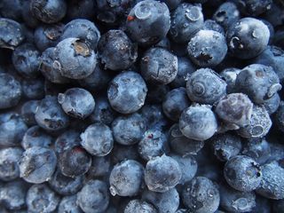 蓝莓，水果，食品，健康