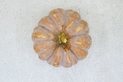 亚洲，*，南瓜，白，农业