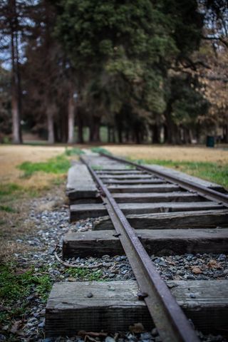 跟踪，火车，运输，铁路，铁路，铁路