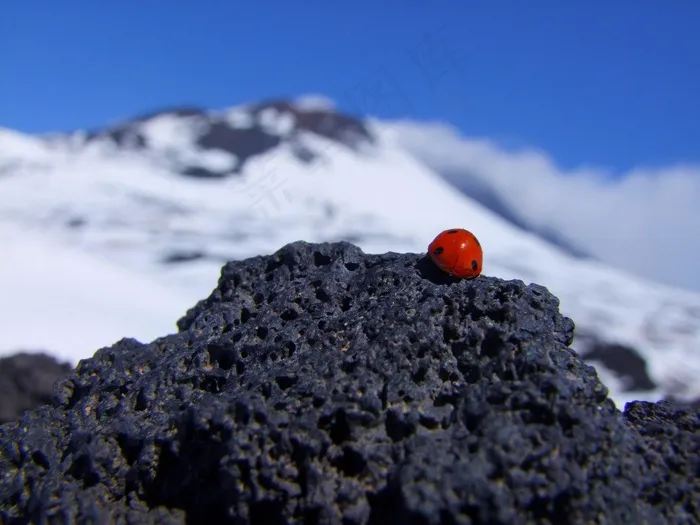 瓢虫，埃特纳火山，意大利，山，岩，太阳，火山