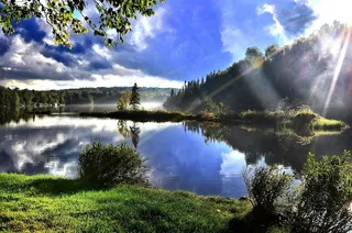 景观，自然，湖泊，树木，水，绿色，对比