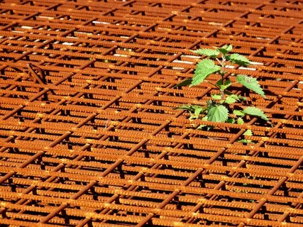 铁锈，生锈，金属，框架，荨麻，植物，绿色