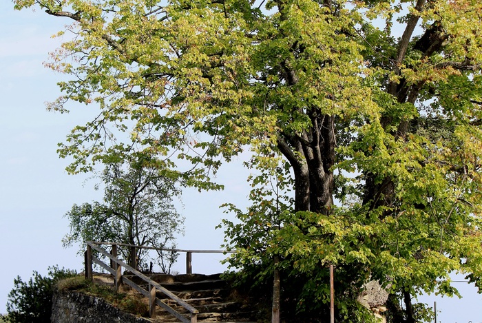 岛，渺小，岩山，树木，楼梯，围栏，意见，湖泊风景