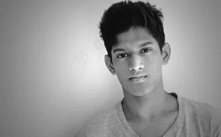 花，黛西，开花，盛开，植物，春天，夏天