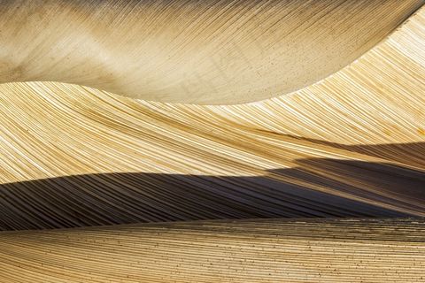 大自然，棕榈碗，棕榈，树，结构，植物