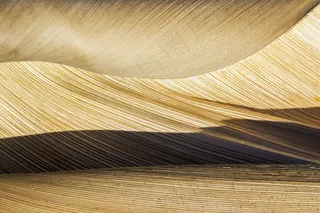 大自然，棕榈碗，棕榈，树，结构，植物