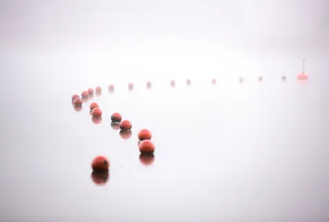 海,浮标,薄雾,雾,早上卡,早上 海,浮标,薄雾,雾,早上卡,早上