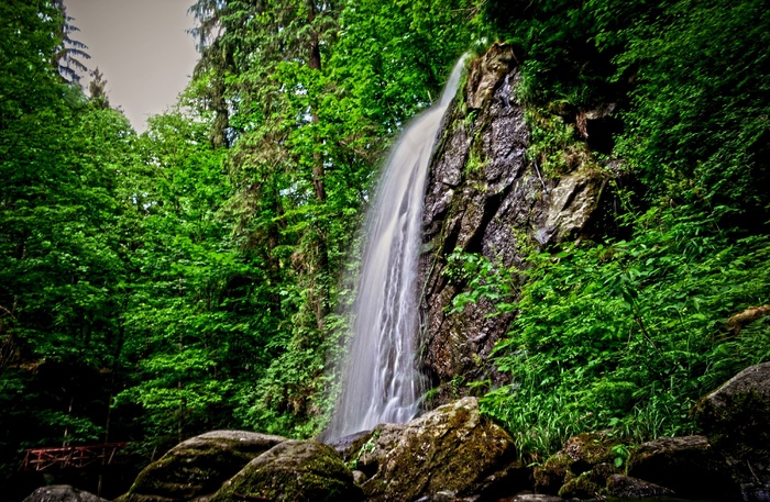 景观，水，瀑布，自然，树木，森林