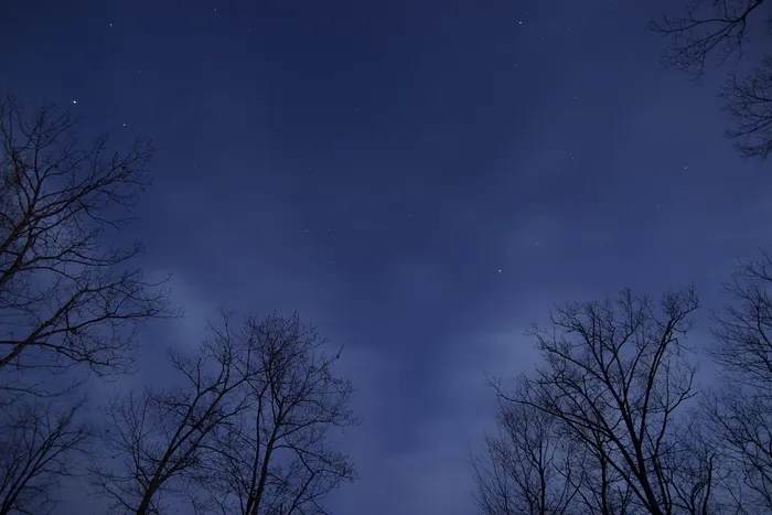 树,天空,冰雪,沙漠怪柳,风景,树木和天空与星星在日落时