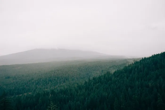 天空,树,风景,模糊图片,山峦,森林大空中地区
