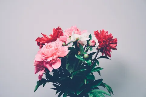 花束,鲜花,红色,粉色,自然 花束,鲜花,红色,粉色,自然