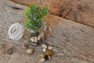 装饰，装饰，装饰，罐子，石头，木材，玻璃