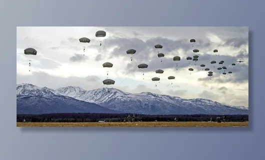 降落伞,训练,跳伞,跳跃,军事 降落伞,训练,跳伞,跳跃,军事