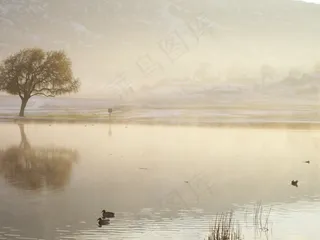 湖，水，黎明，景区，景观，反射