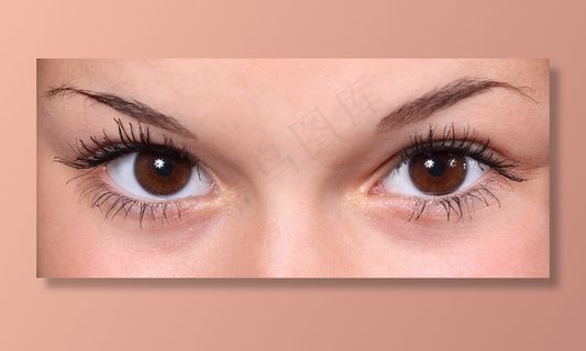 眼影,眼睛,雀斑,人物特写,眼镜,女人的眼睛相似