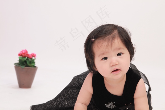 儿童，女孩，小，肖像