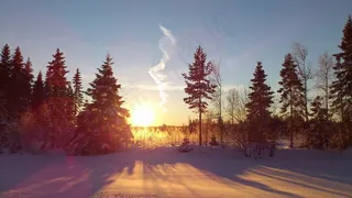 冬季，太阳，雪，风景，Västerbotten
