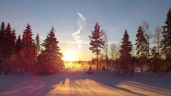 冬季,太阳,雪,风景,Västerbotten 冬季,太阳,雪,风景,Västerbotten