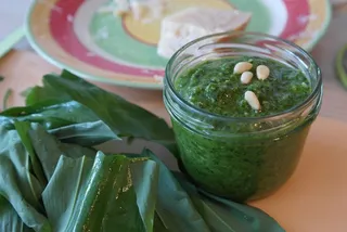 熊的大蒜，香蒜酱，松子，油，大蒜叶