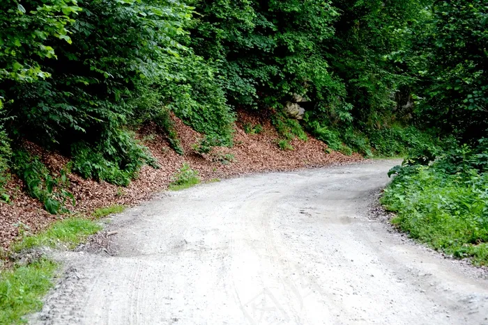 国家，道路，森林，乡村，轨道，性质