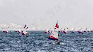 冲浪，帆，水上运动，风，水，冲浪