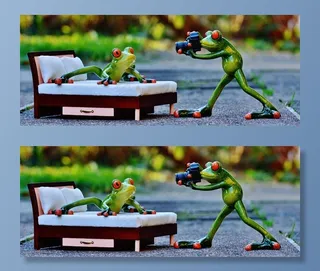 摄影师，青蛙，拍摄照片，搞笑，相机，乐趣