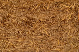 稻草，干草，农场，农村，农业，性质，收获